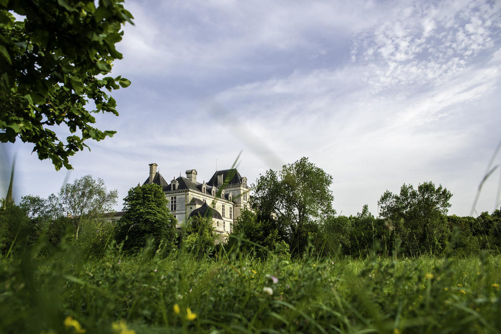 Hotel Restaurant Du Chateau De La Tour Beguey Buitenkant foto